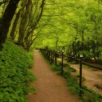 Plant, Natural Landscape, Wood, Branch, Tree, Road Surface