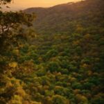 Video For Background Download, Cloud, Sky, Atmosphere, Plant Community, Ecoregion