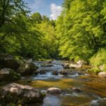 Water, Cloud, Plant, Fluvial Landforms Of Streams, Sky, Natural Landscape