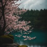 Water, Flower, Sky, Cloud, Nature, Plant