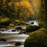 Water, Plant, Fluvial Landforms Of Streams, Leaf, Natural Landscape, Branch