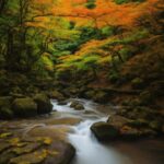 Water, Plant, Natural Landscape, Fluvial Landforms Of Streams, Leaf, Tree