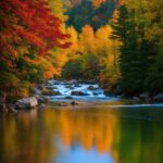 Water, Plant, Sky, Natural Landscape, Leaf, Natural Environment