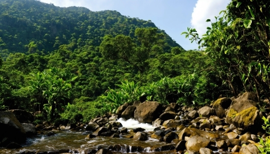 Water, Sky, Cloud, Plant, Plant Community, Ecoregion