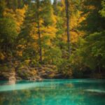 Water, Sky, Plant, Ecoregion, Larch, Branch