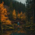 Water, Sky, Plant, Natural Landscape, Larch, Tree