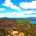 4k Nature Video Download, Landscape, Sky, Clouds, Rural, Meadow