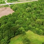 Adobe Stock Icons, Tree, Landscape, Forest, Plant, Sky