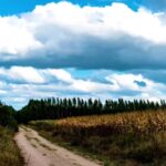 Airplane Stock Footage Free, Sky, Atmosphere, Landscape, Grass, Rural