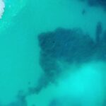 Animations Video, Underwater, Fish, Sea, Ocean, Reef