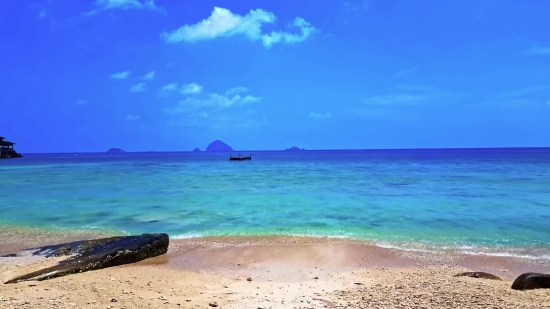 Archival Stock Footage, Beach, Ocean, Sand, Sea, Coast