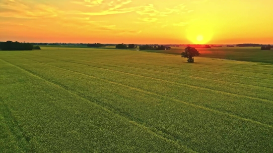 Arijit Singh Sad Song, Plain, Land, Sky, Field, Grass