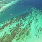 Background Video 4k Free, Reef, Coral Reef, Ocean, Sea, Ridge