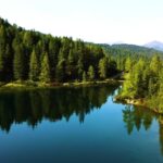 Background Videos Free, Lake, Reflection, Landscape, Tree, Forest