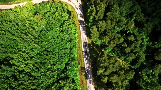 Backsound Video No Copyright, Tunnel, Tree, Landscape, Mountain, River