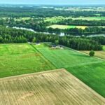 Banner Background Video Download, Rice, Landscape, Field, Grain, Rural