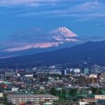 Bear Stock Footage, Range, City, Business District, Architecture, Urban