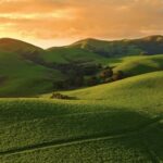 Beauty Stock Video, Highland, Landscape, Grass, Meadow, Field