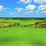 Best Free Video Download Sites, Field, Rural, Landscape, Meadow, Grass