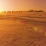 Black Stock Video, Sand, Dune, Beach, Soil, Sunset