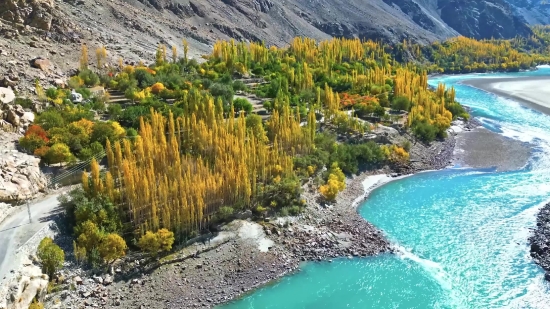 Blender Stock Footage, Forest, Tree, Landscape, Lake, Mountain