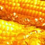 Buy Video Footage, Corn, Kernel, Grain, Fruit, Seed