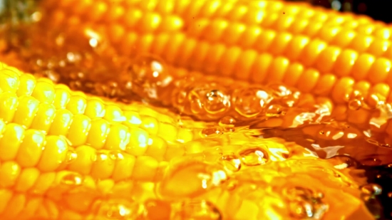 Buy Video Footage, Corn, Kernel, Grain, Fruit, Seed