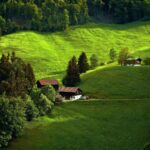 Chroma Key Video Backgrounds, Maze, Landscape, Grass, Tree, Farm