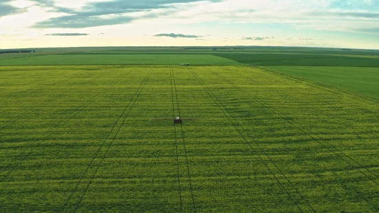 Clip Messi, Plain, Land, Field, Grass, Landscape