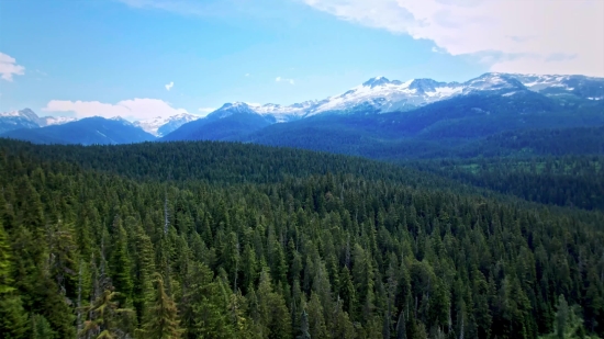 Cooking Stock Video, Range, Mountain, Landscape, Mountains, Forest