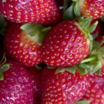 Copyright Free Nature Videos For Youtube, Strawberry, Berry, Fruit, Edible Fruit, Produce