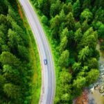 Copywriting Free Video, Tree, Forest, Road, Landscape, Mountain