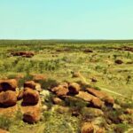 Coral Reef Stock Footage, Field, Landscape, Land, Steppe, Hay