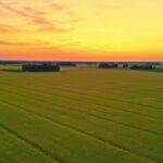 Cristiano Ronaldo Clips, Sky, Landscape, Horizon, Beach, Summer