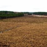 Diverse Stock Photos, Landscape, Field, Land, Sky, Rural