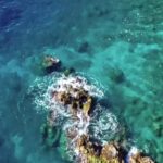 Download A Clip From Youtube Video, Coral Reef, Reef, Underwater, Sea, Ocean