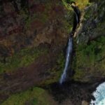 Drone Free Stock Footage, Tree, Snag, Woody Plant, River, Forest