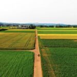 Elevator Stock Video, Field, Grass, Landscape, Rural, Meadow