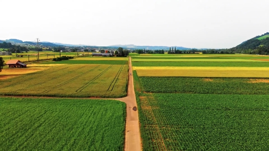 Elevator Stock Video, Field, Grass, Landscape, Rural, Meadow