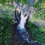 Free Background Downloads, Waterfall, River, Stream, Forest, Tree