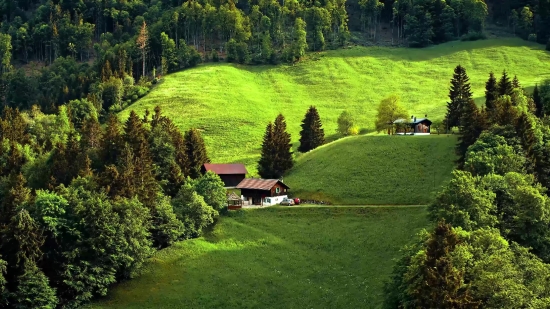 Free Background For Video, Maze, Landscape, Tree, Grass, Field