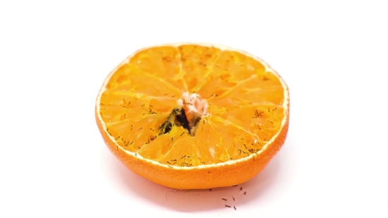 Free Background Movie Clips, Citrus, Fruit, Tangerine, Mandarin, Orange