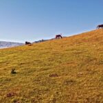 Free Cinematic Background Video, Knoll, Landscape, Desert, Mountain, Sky