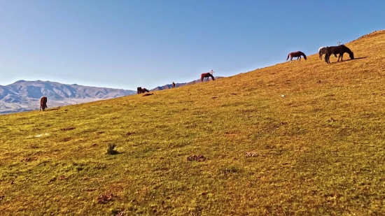 Free Cinematic Background Video, Knoll, Landscape, Desert, Mountain, Sky