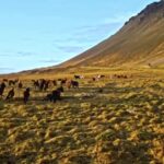 Free Clips For Montages, Highland, Landscape, Mountains, Land, Steppe