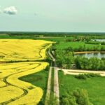 Free Commercial Videos, Rapeseed, Oilseed, Maze, Seed, Landscape