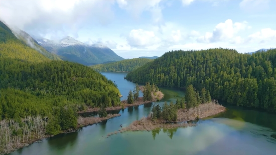 Free Copy Paste Video, Lake, Forest, Landscape, River, Water