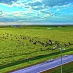 Free Couple Stock Footage Nature, Steppe, Plain, Land, Landscape, Field