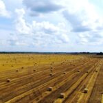 Free Digital Background Chroma Key, Landscape, Sky, Dune, Sand, Field