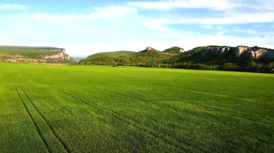 Free Digital Video Animation, Field, Grass, Landscape, Mound, Sky